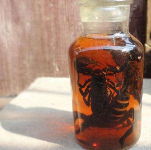 中国民俗中那些神奇的生物泡酒,你敢喝吗?