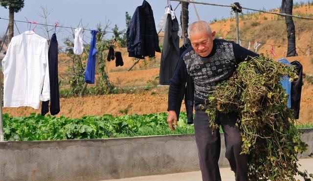 农村过了60岁的老人,已经无法下地干活,该如何面对养老呢?