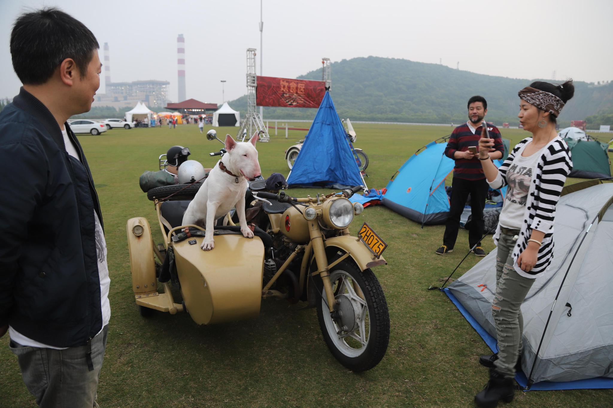 小伙骑复古摩托车遛狗引围观 人们说狗狗长得像一位大明星