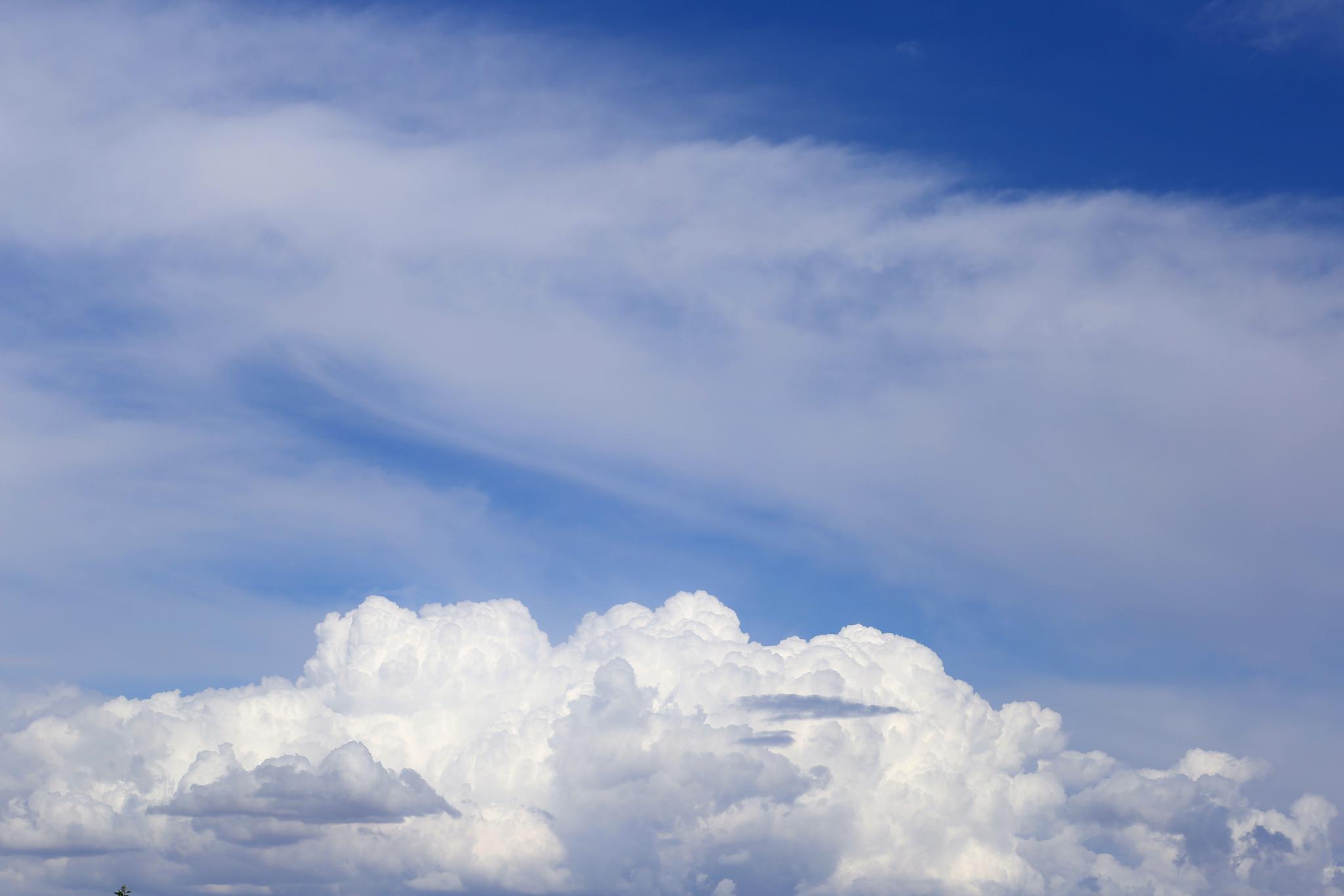 阿克苏市:骤雨过后,白云如此皎洁!|阿克苏市|天空|棉絮_新浪新闻