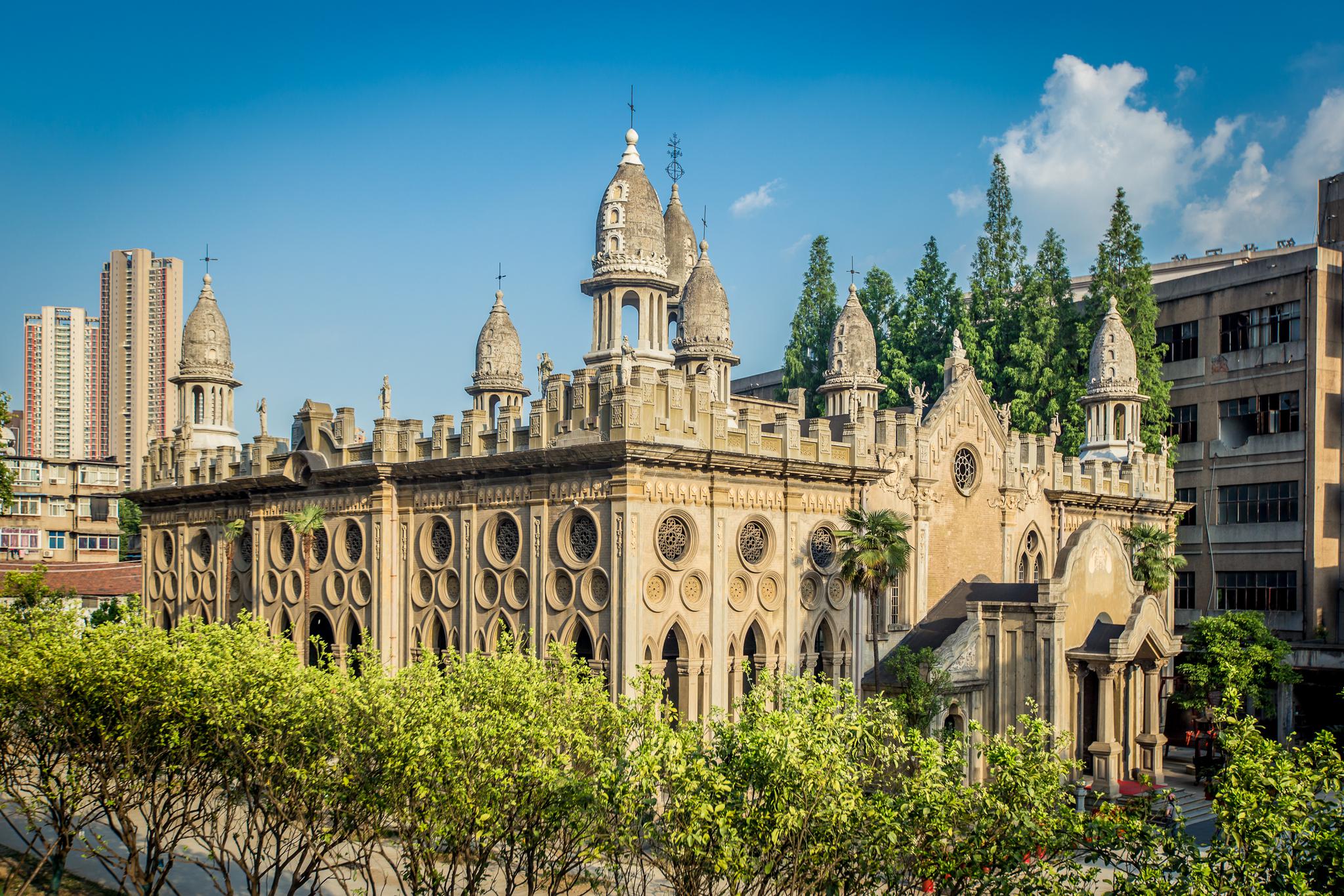 古德寺的荷花又开了