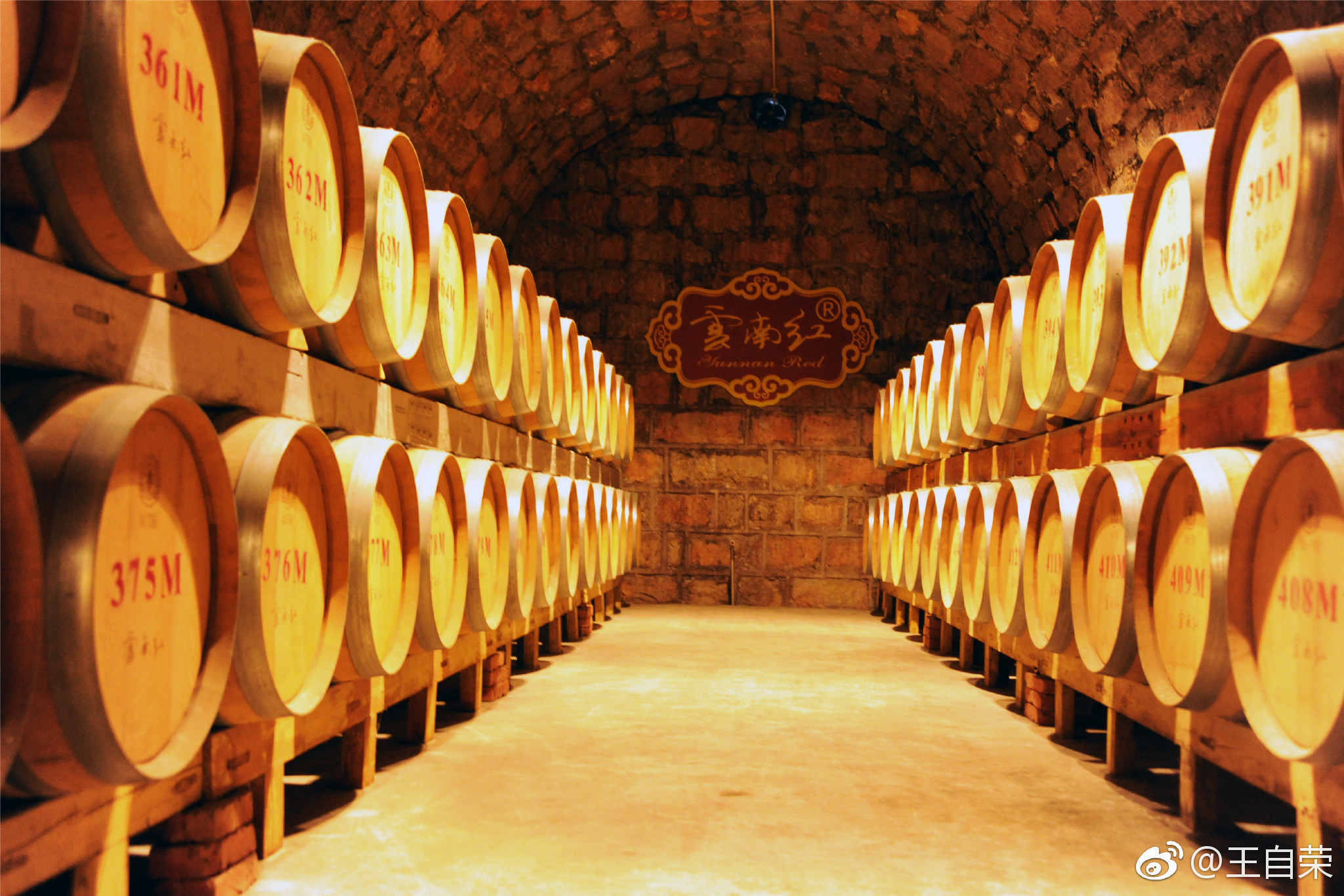 红河州弥勒市的云南红酒庄.