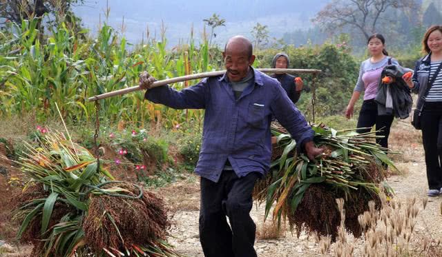 农村过了60岁的老人,已经无法下地干活,该如何面对养老呢?