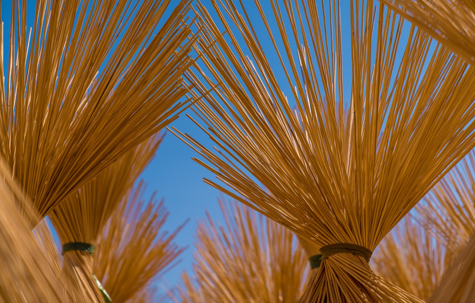 宜兴太华镇,实拍竹篾晒制工场|宜兴|太华镇|竹篾_新浪新闻