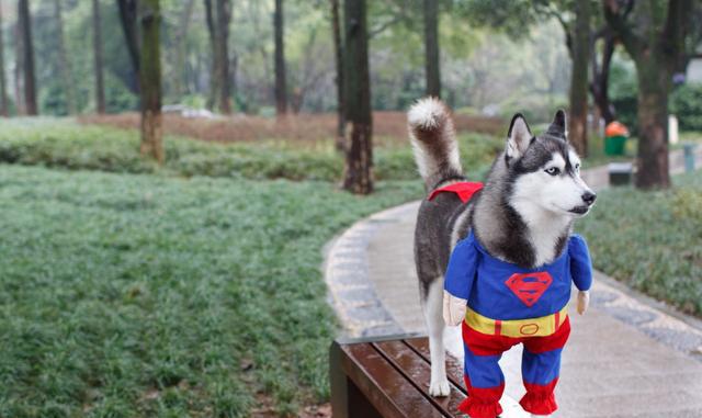 爆笑段子之民间冷笑话 笑抽我了