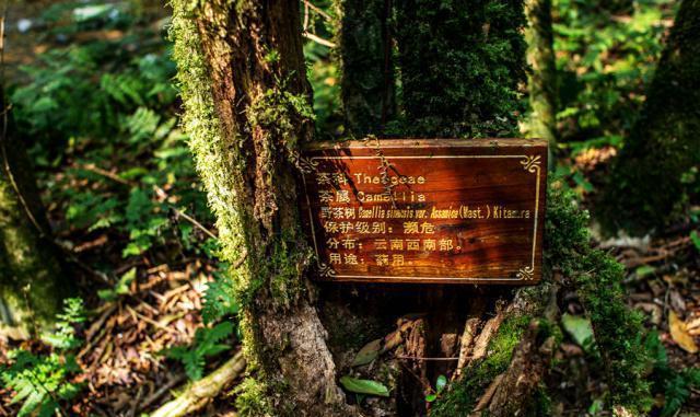 新款丰田霸道2700报价及图片