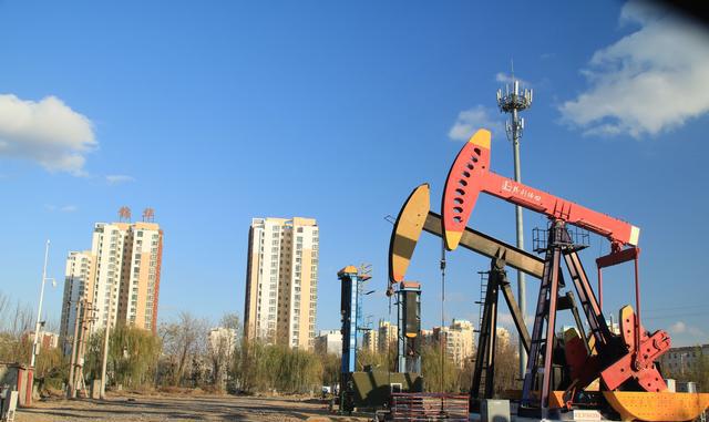 冬天来了,东营市翠湖公园的冬天风景宜人