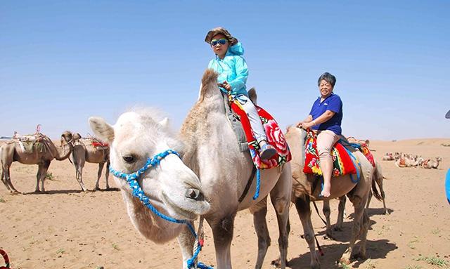 沙漠游记-这里有传说中的白骆驼