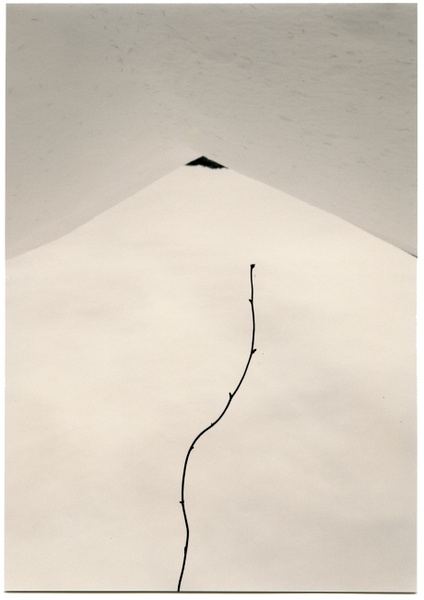 山本昌南masaoyamamoto