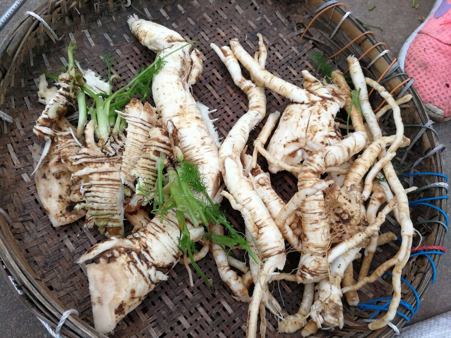 小城的早市到处是稀罕野味,大妈的野菜根5元一斤,可治疗关节痛