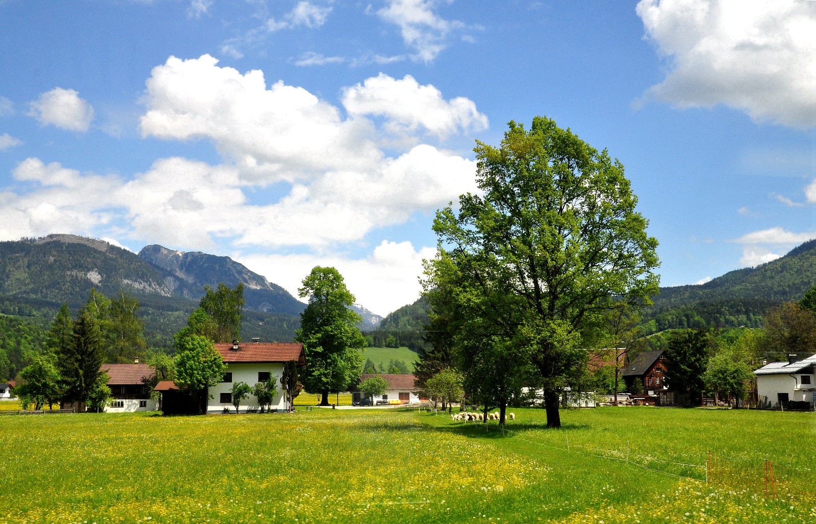 美丽的奥地利田园风光原创摄影