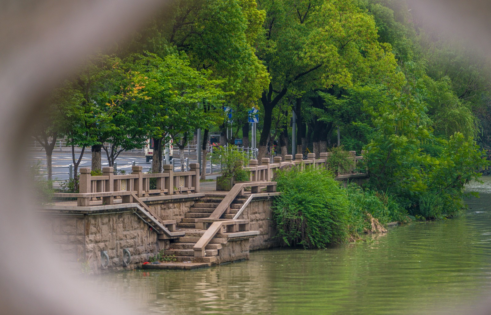 无锡古运河边夏天里的那份绿色