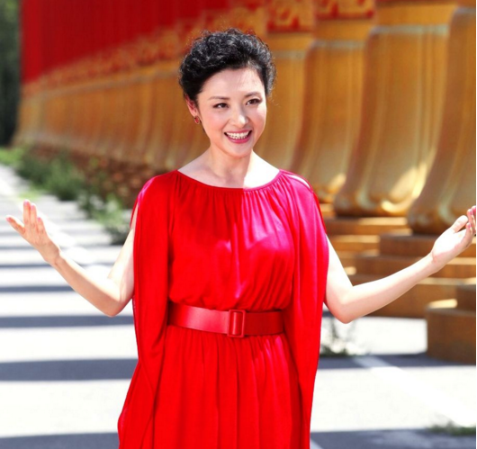 央视最美10大女主持人,个个貌美如花气质迷人,你最喜欢谁?