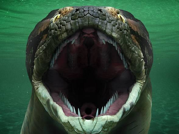 世界上最大的蛇有多大?它取代了此前的纪录保持者非洲巨蟒