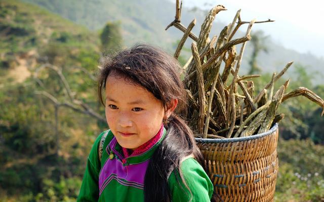 女孩乞讨无人理会,老人好心照顾她,多年后老人富贵无比