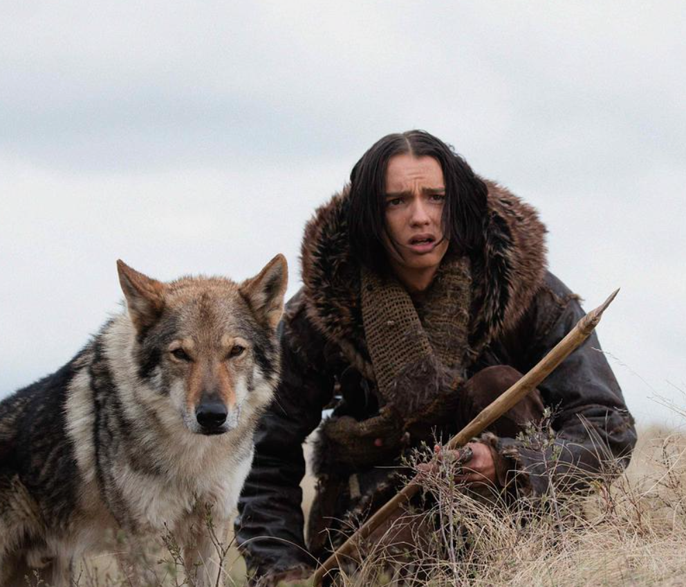 每帧镜头都能当壁纸,想让所有汪汪都排排坐去看看!