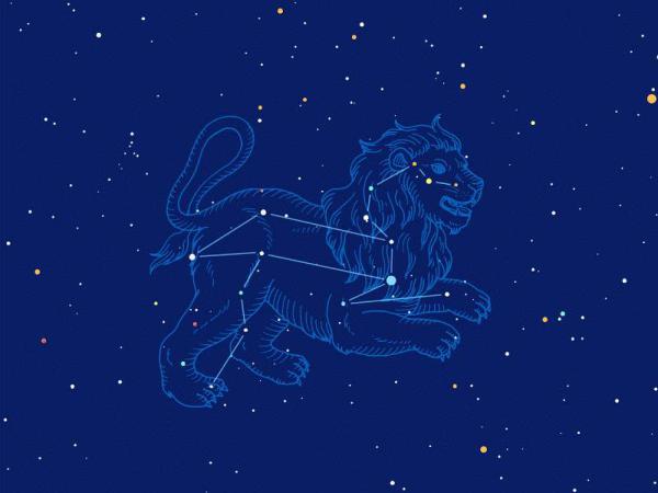 狮子座的人天生积极乐观,又机智过人,心中始终有自己的梦想和目标,大