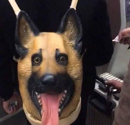 "狗头型"双肩包,这样的造型好亮眼,网友:感觉挺可爱!