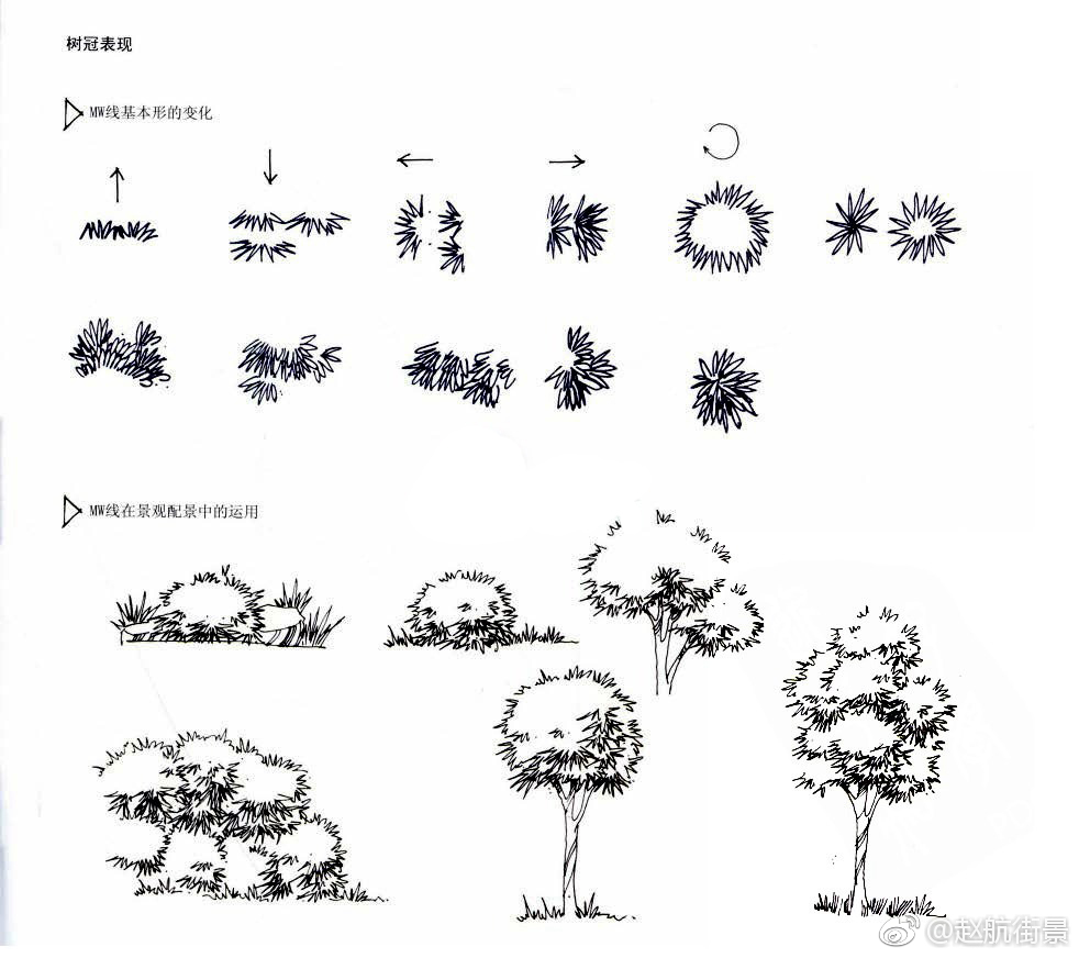 手绘表现中树的画法作者(|画法|手绘|赵航_新浪新闻