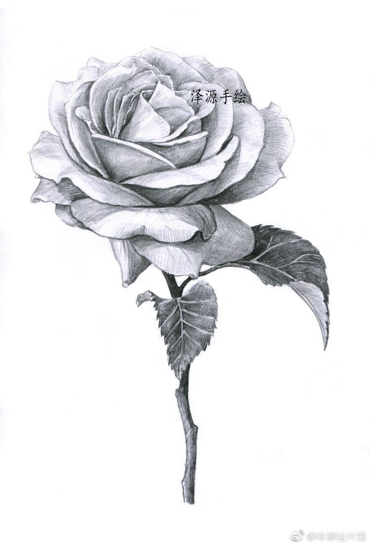 满满的成就感 |绘画:@泽源手绘 67满满的成就感 |绘画:@泽源手绘