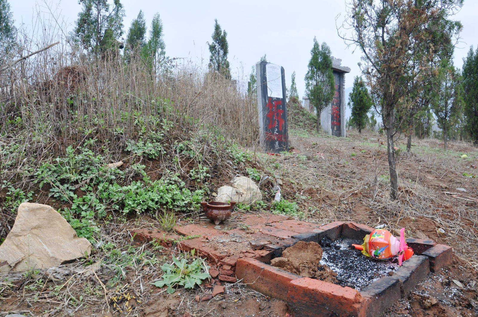 一个小山包密密麻麻全是坟 有村民靠卖地发了家