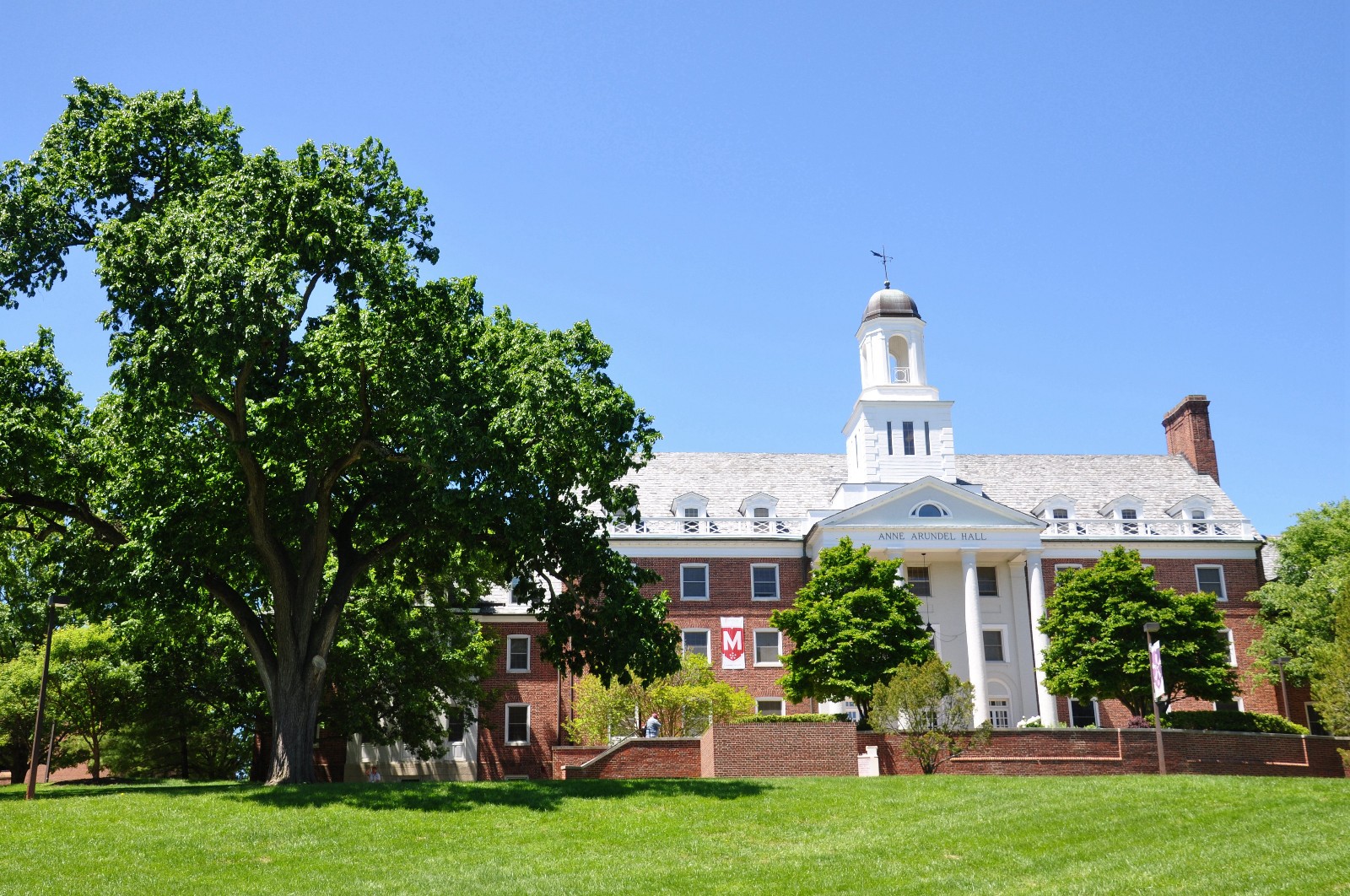 马里兰大学随拍【原创摄影】