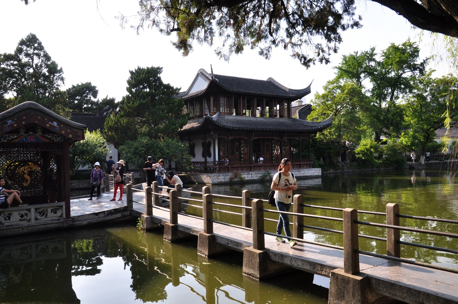 南京总统府煦园原创摄影