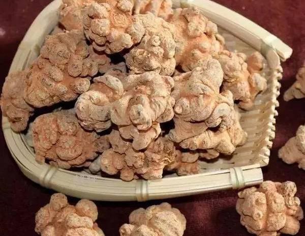 道地药材原料粉