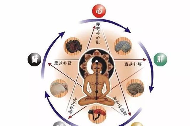 医日一方道家养生之玉清三果