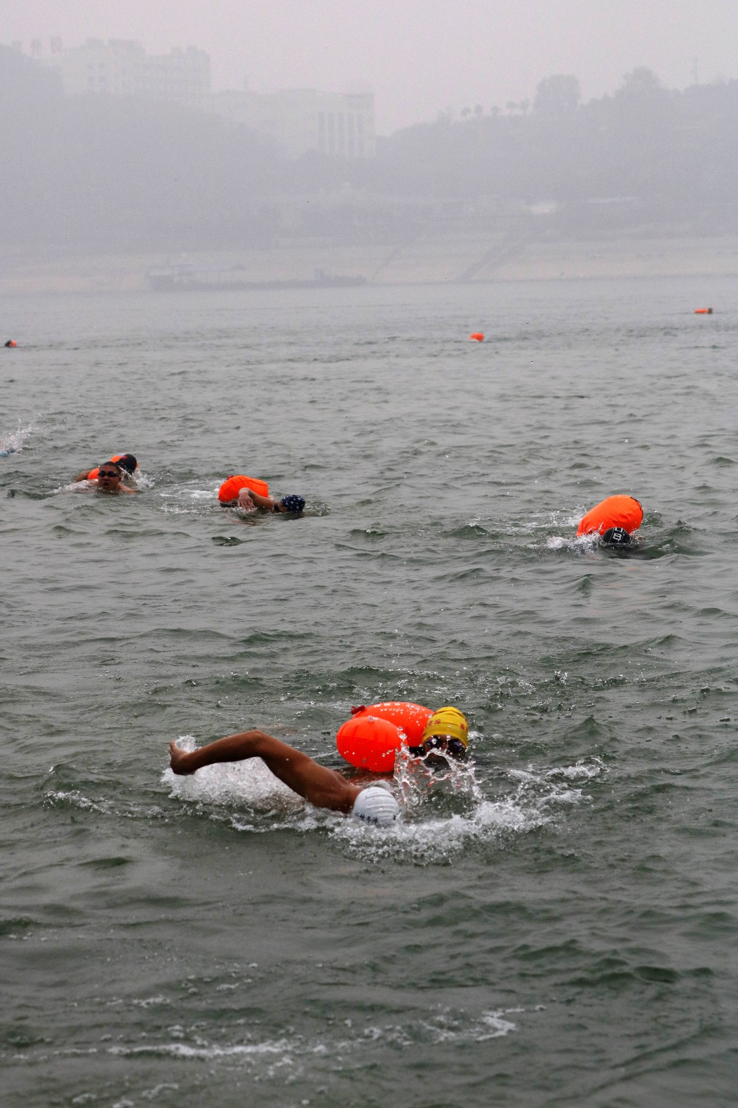 近千名"泳"士冬日湖北宜昌横渡长江|宜昌|冬泳|长江_新浪网