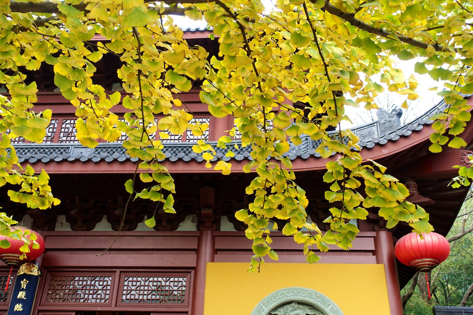 “仙灵所隐”——灵隐寺|灵隐寺|禅宗|仙灵_新浪新闻