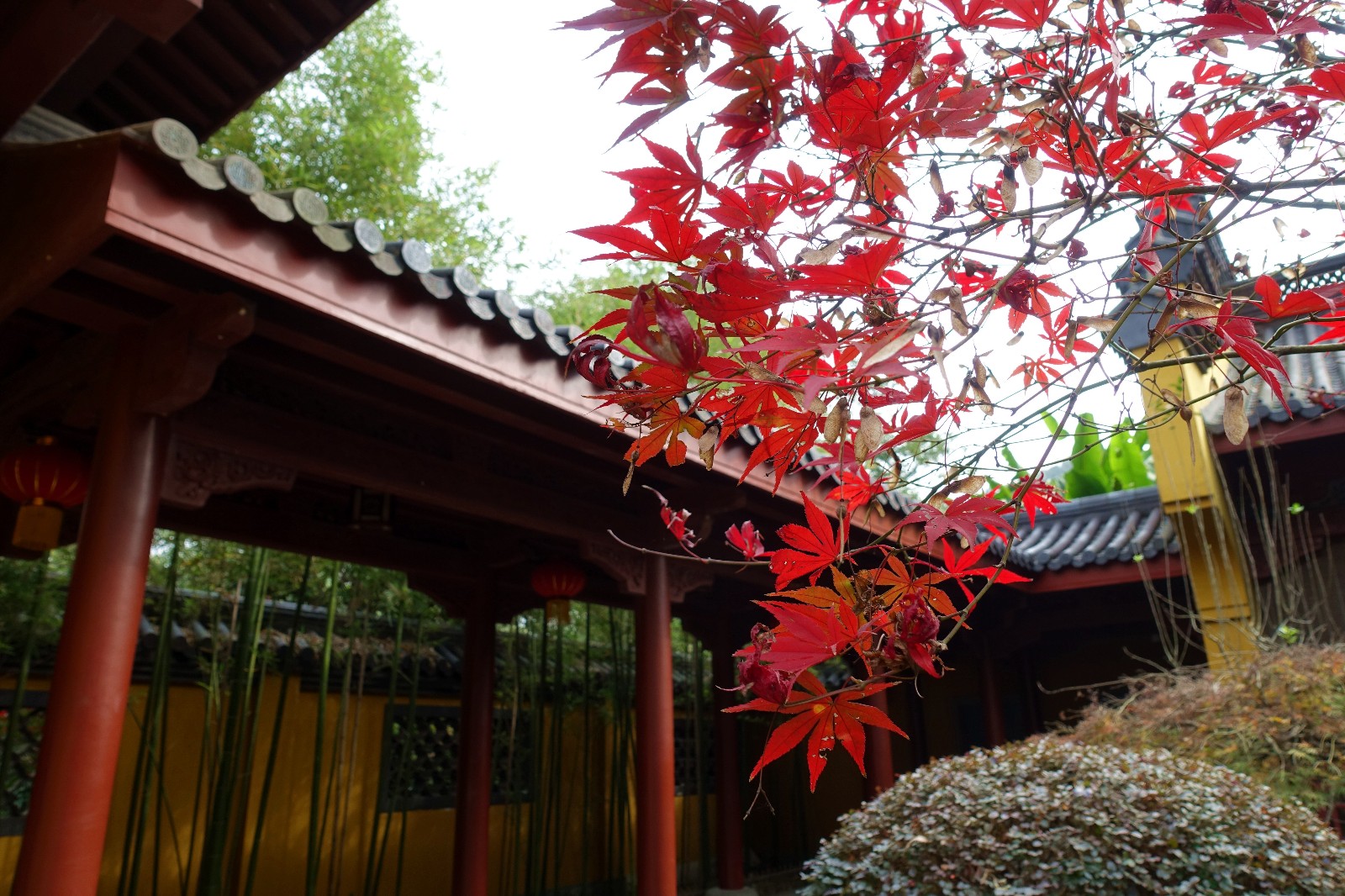 “仙灵所隐”——灵隐寺