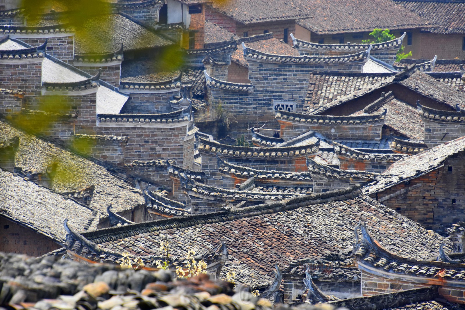 【发现江西之美——赣县白鹭古村】