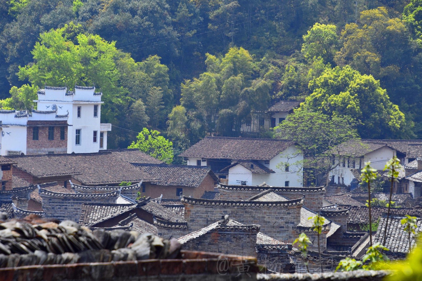 【发现江西之美——赣县白鹭古村】