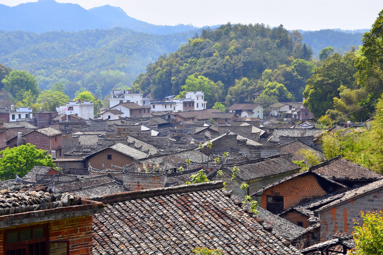 【发现江西之美——赣县白鹭古村】