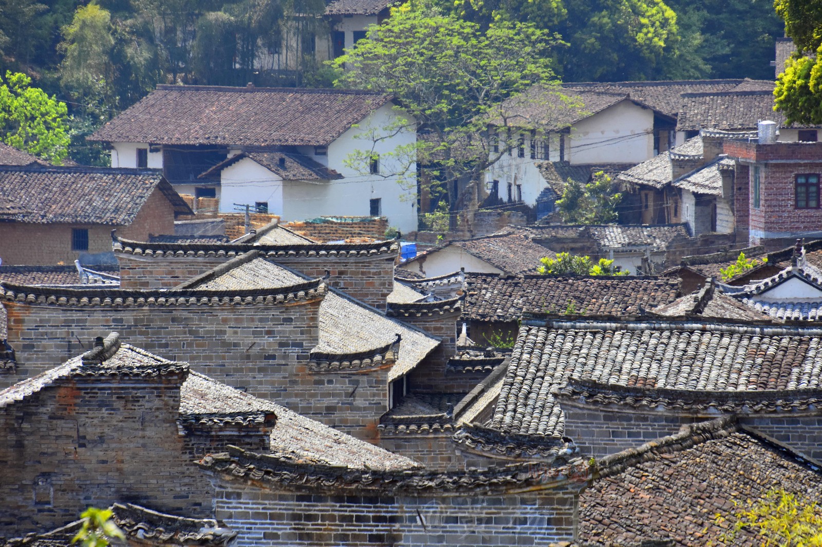 【发现江西之美——赣县白鹭古村】