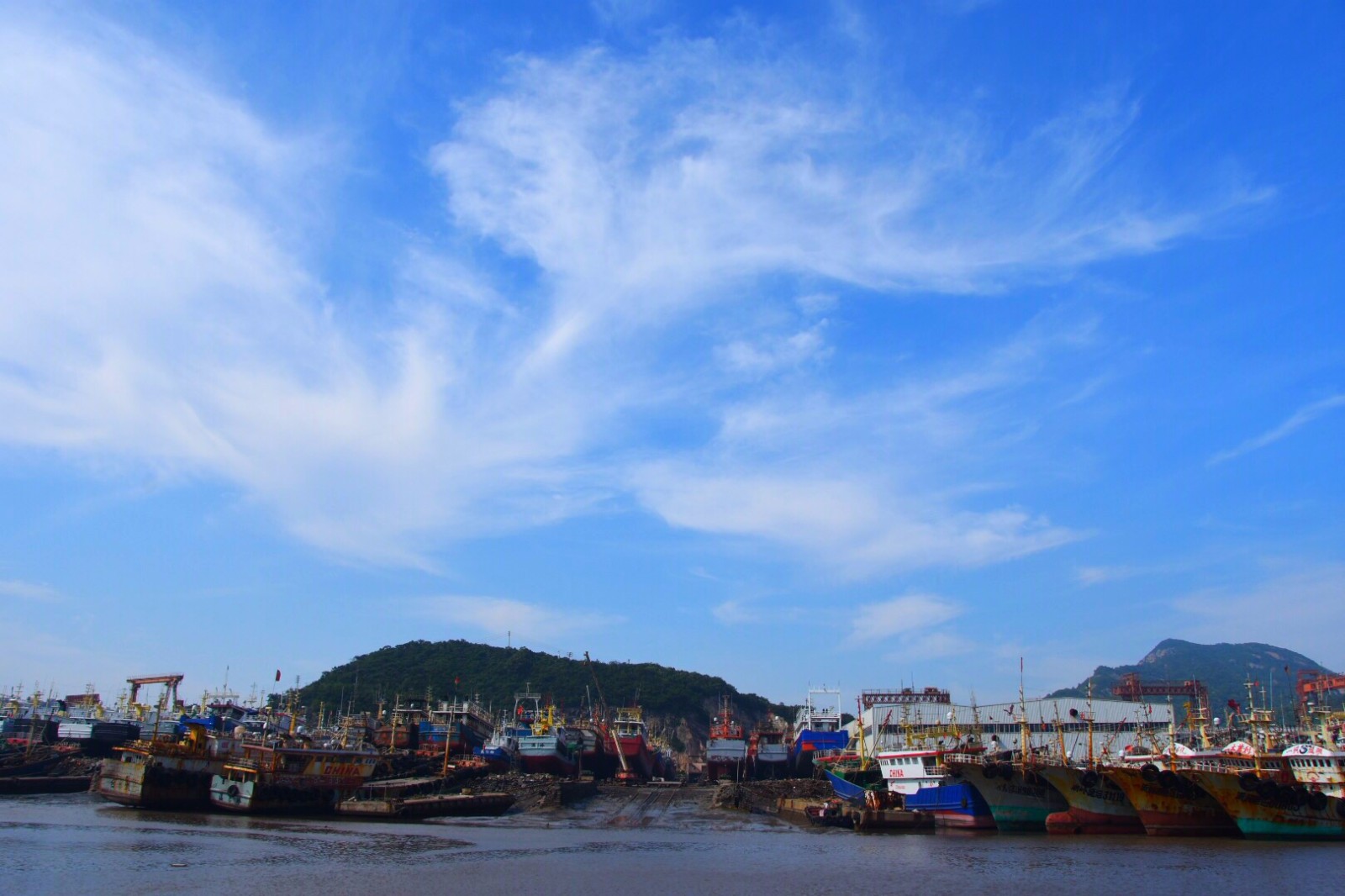 禁渔期哪些乘风破浪的渔船都去哪儿了看松门礁山港里它们在保养