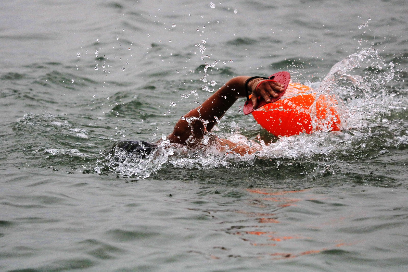 近千名"泳"士冬日湖北宜昌横渡长江