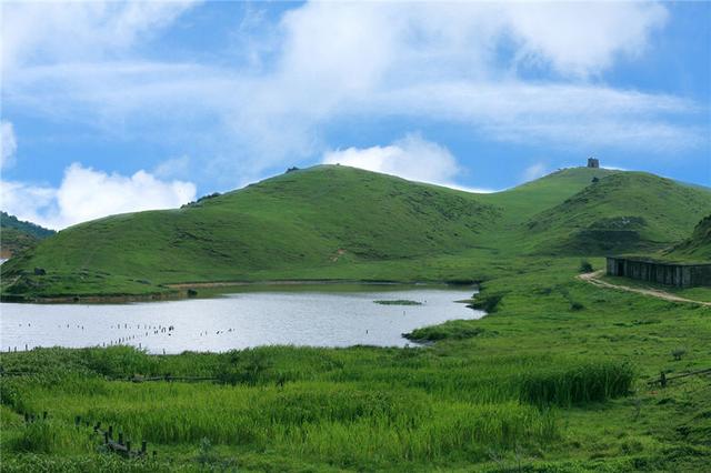 这里是离广东最近的大草原,而且牛肉供不应求,你知道是哪吗?
