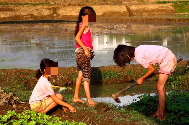 阿丽说这个小女孩就当年被婆婆狠心扔下河的那个孩子