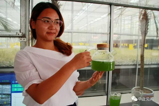 “金果银花” 致富靠它