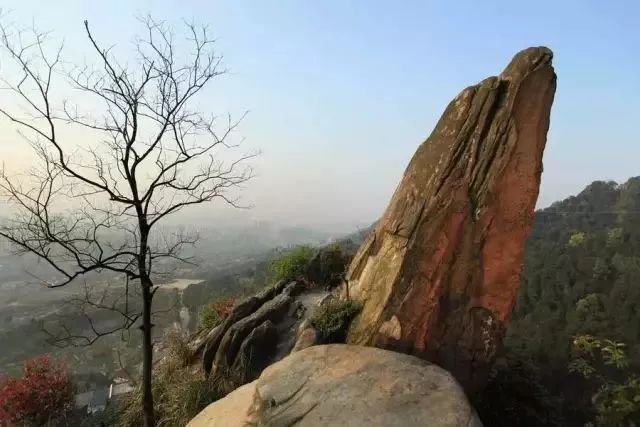 看夜景又有新去处 重庆壹华里夜景公园免费开