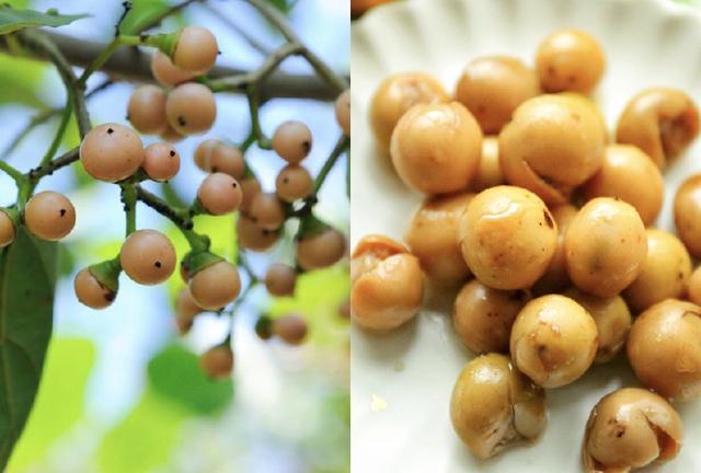 今天炒黄瓜苗特别尝试了一个台湾特有的调味品:甘树子.