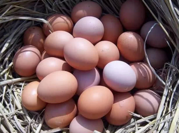 农村常见的农作物,美味又养生,你吃过哪种呢?