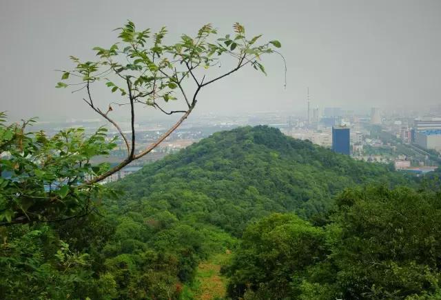 江阴三十三山半的最