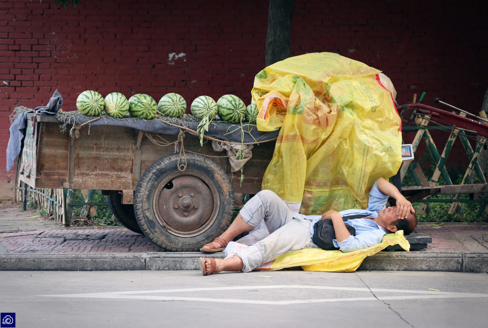 父亲进城卖瓜为研究生儿子赚学费,销量不好竟降价50%