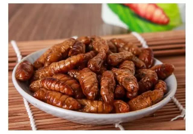 全文高能,山东人看完准备去吃福建人了|香香|豆虫|龟_新浪新闻