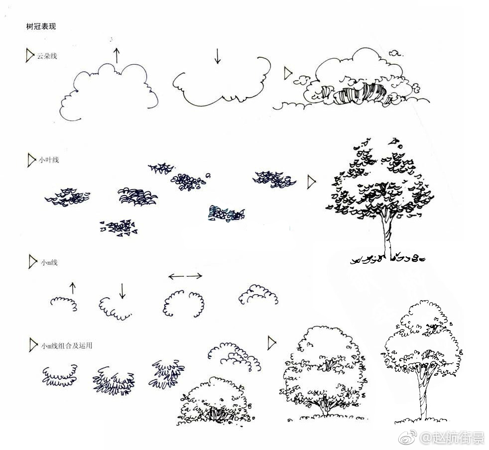 手绘表现中树的画法作者（|画法|手绘|赵航_新浪新闻
