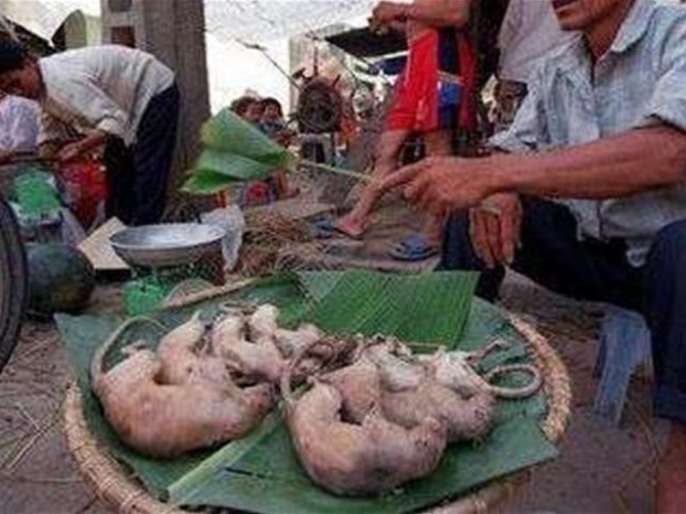 而根据先了解得知,原来越南人吃老鼠,有这几种原因!