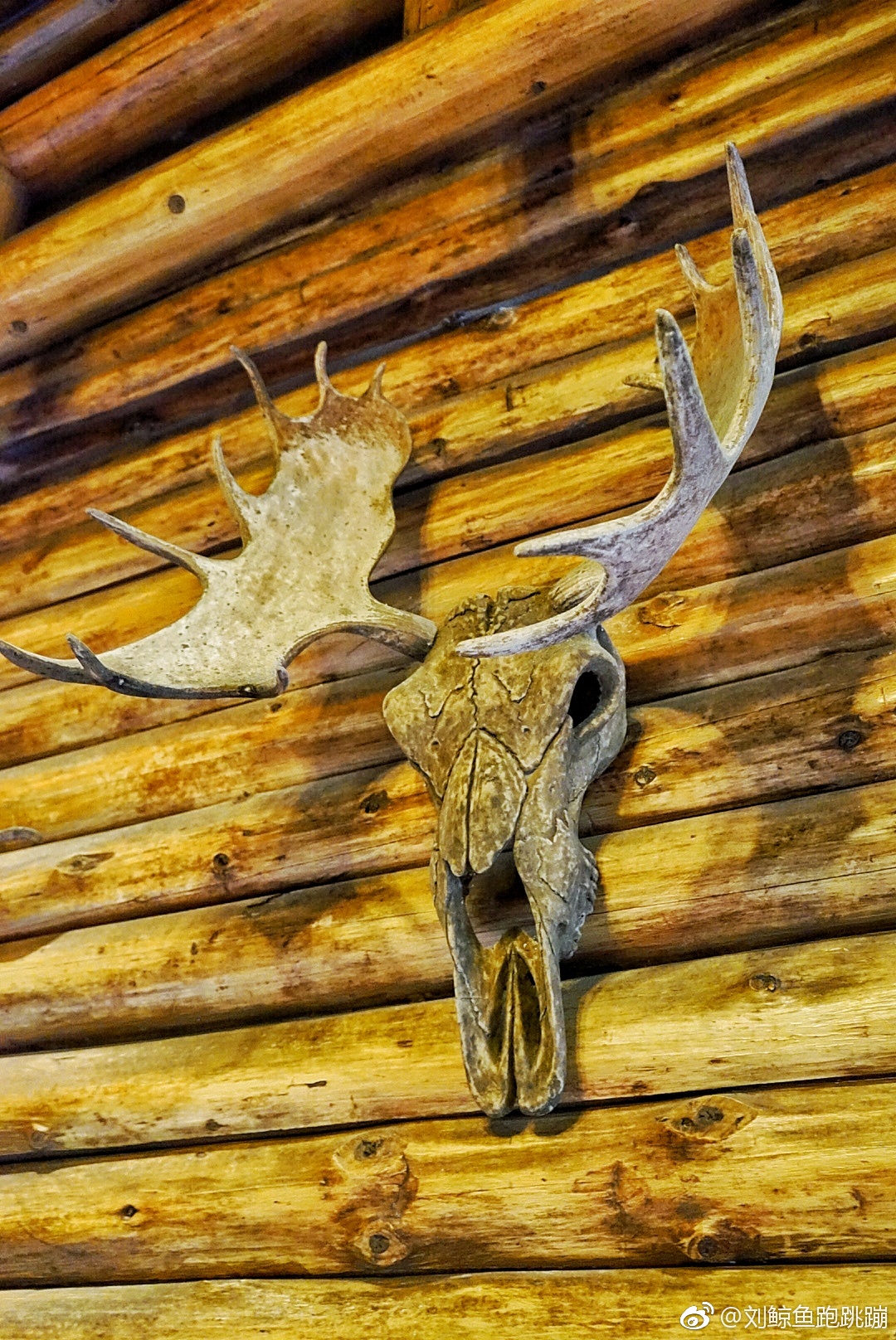 猎户山庄,处处森林,狩猎元素,充满野趣.